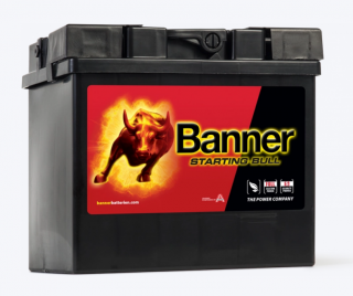 Autobaterie Banner Starting Bull 530 30, 30Ah, 12V, technologie Ca/Ca