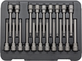 Hlavice zástrčné 3/8", Torx-Inbus-Inbus s koulí, extra dlouhé 110 mm, S2, sada 20 dílů, Welzh