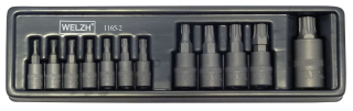 Hlavice zástrčné, Torx Plus T8-T60, S2, sada 12 dílů, Welzh